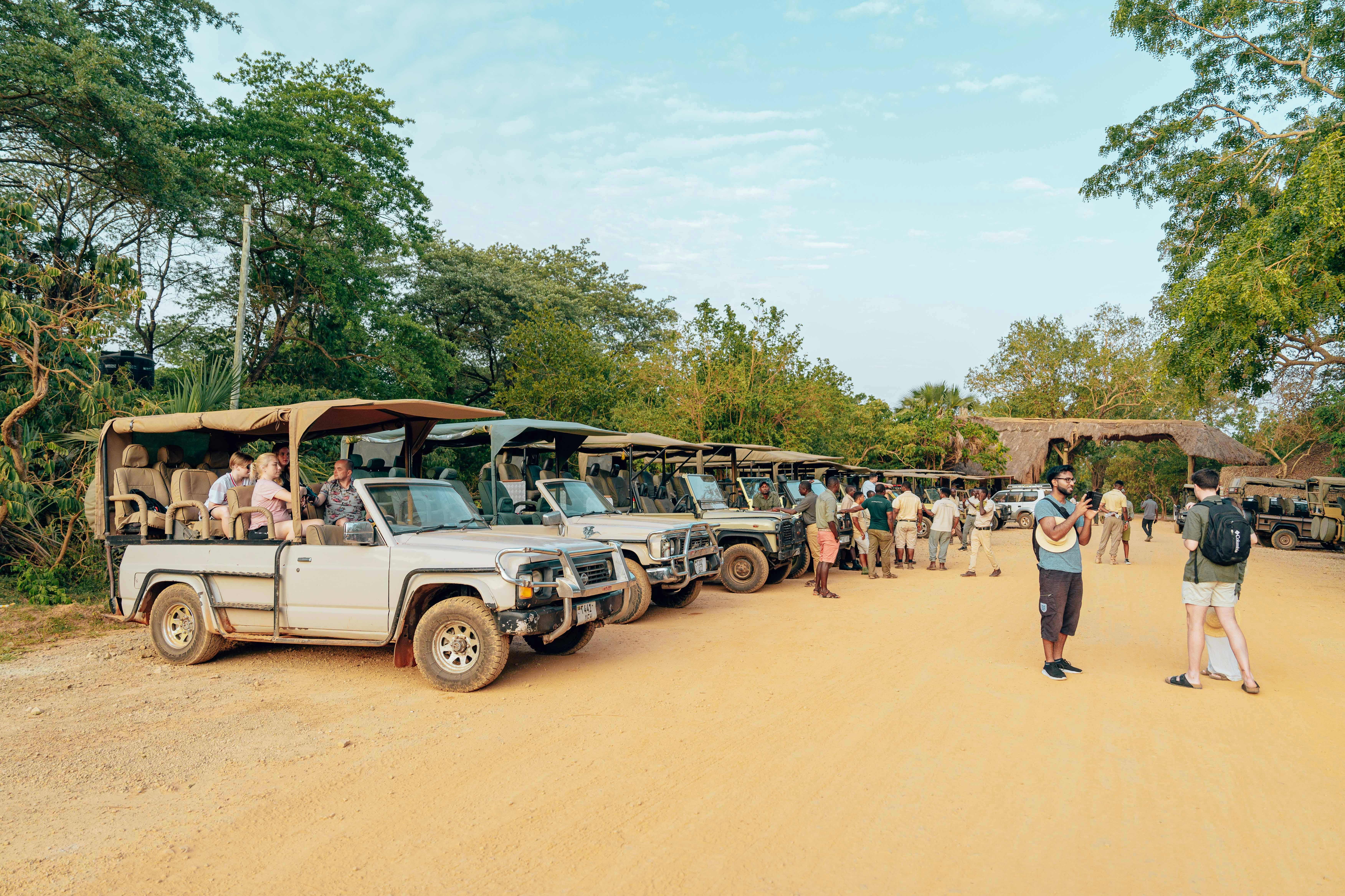 Jungle Safari